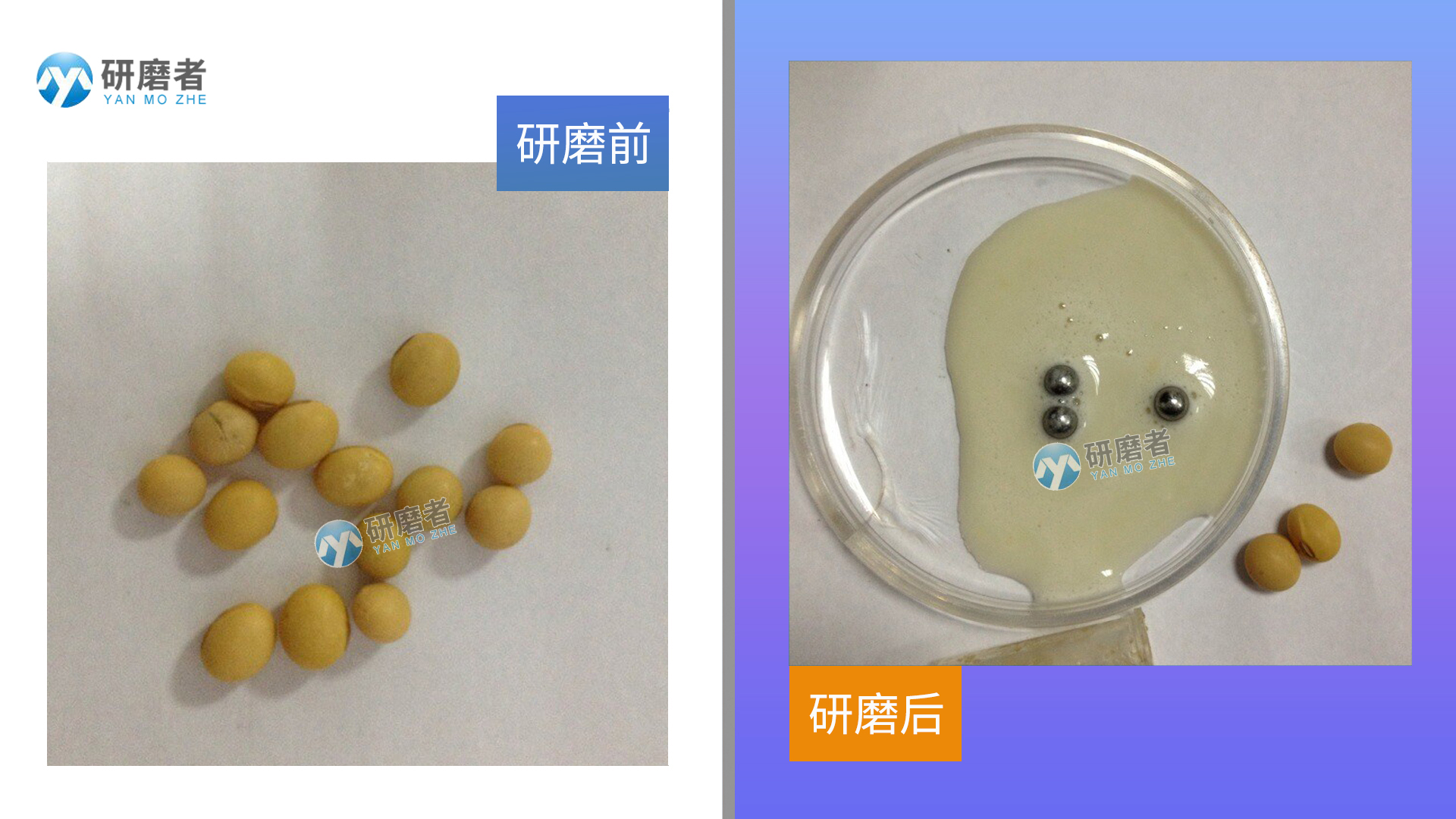 多樣品組織研磨機(jī)研磨圖